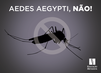 FAMES entra na luta contra o mosquito Aedes aegypti FAMES entra na luta contra o mosquito Aedes aegypti