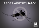 FAMES entra na luta contra o mosquito Aedes aegypti