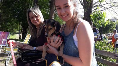 Veja como foi a terceira edição do evento de adoção de animais